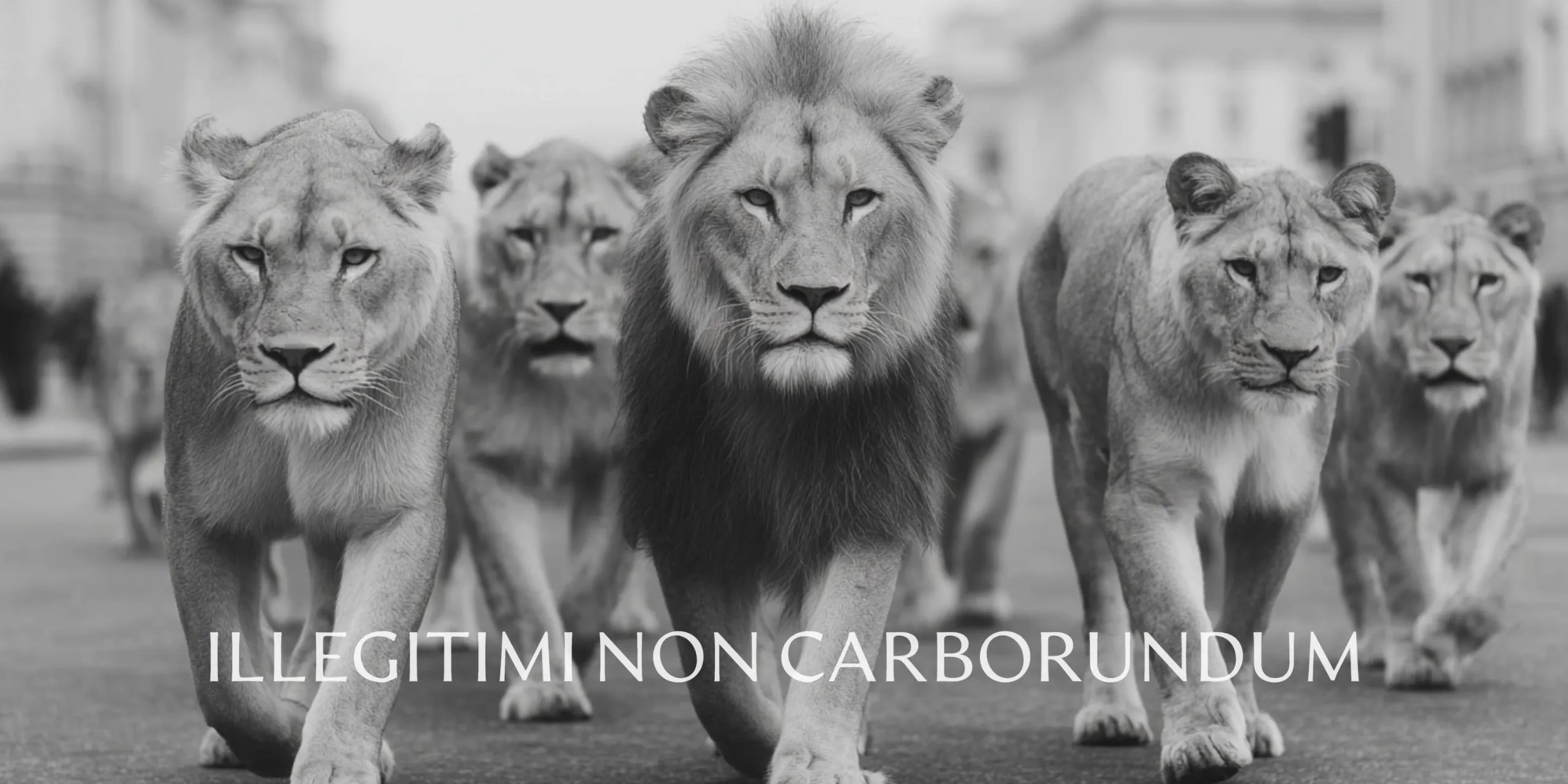 Lionheart photograph of Lions on street in London